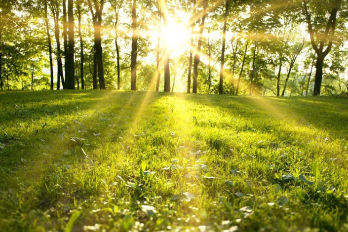 Sabah hava necə olacaq?