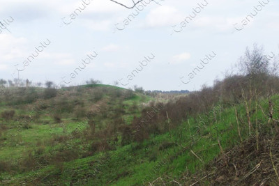 Dəmir dövrünə aid abidə: Xəzitəpə kurqanı