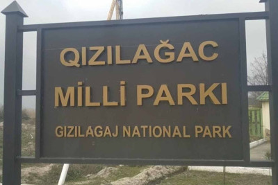 Masallı sakini Qızılağac Milli Parkı ərazisində qanunsuz ov etdiyi üçün saxlanılıb