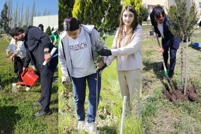 Cənub bölgəsində ağacəkmə aksiyası keçirilib - VİDEO