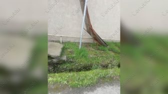 Foto Cenublu.az