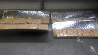 Əfqanıstan vətəndaşları