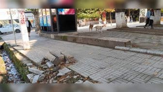 Lənkəranın bordürlər bərpa olunmur