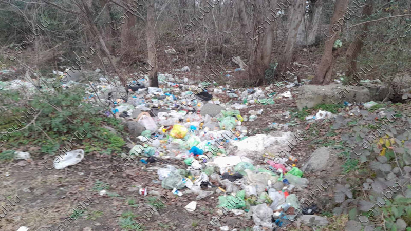 Lənkəranın bu ərazisi zibilliyi xatırladır
