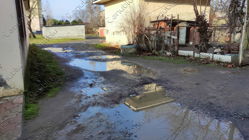 Lənkəran: Zərifə Əliyeva küçəsinin sakinlərinin yol problemi