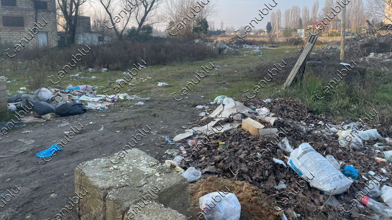 Lənkəran: mərkəzi küçədə yol kənarındakı boş ərazilər zibillənib