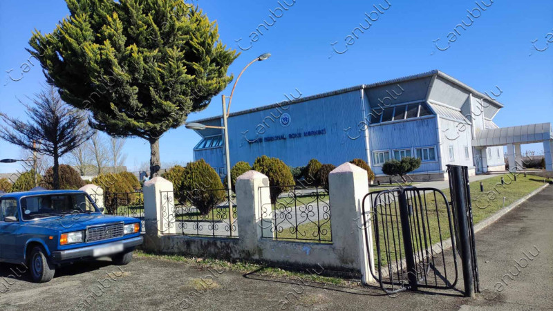 Lənkəranda şəhidin xatirəsinə həsr olunmuş karate çempionatı keçiriləcək