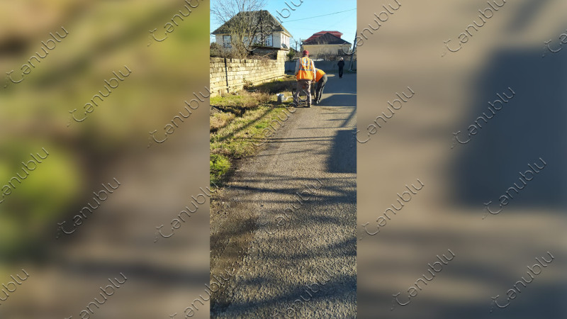 Lənkəran: məktəbə gedən yola işıq dirəkləri quraşdırılacaq