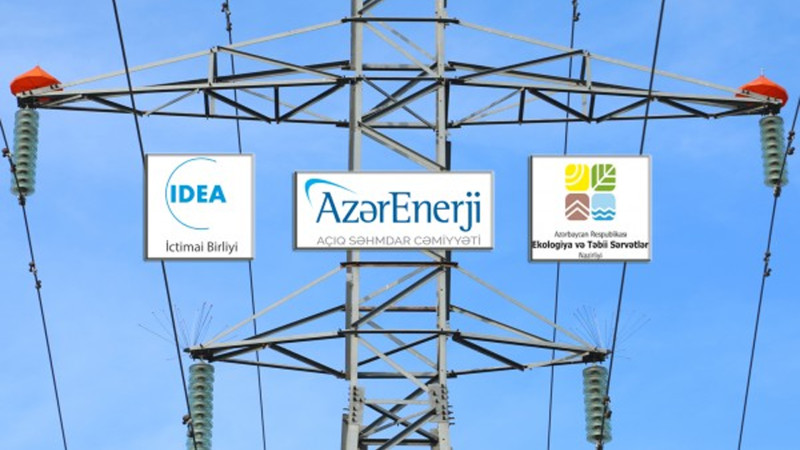 Masallı: quşların qorunması məqsədi ilə elektrik xətlərinə avadanlıqlar quraşdırılır