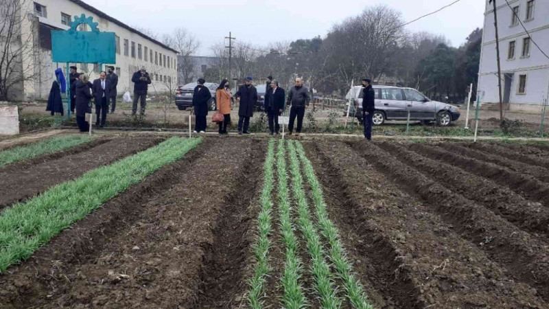 Lənkəran və Cəlilabad Dövlət Peşə Təhsil Mərkəzləri təcrübələrini mübadilə ediblər