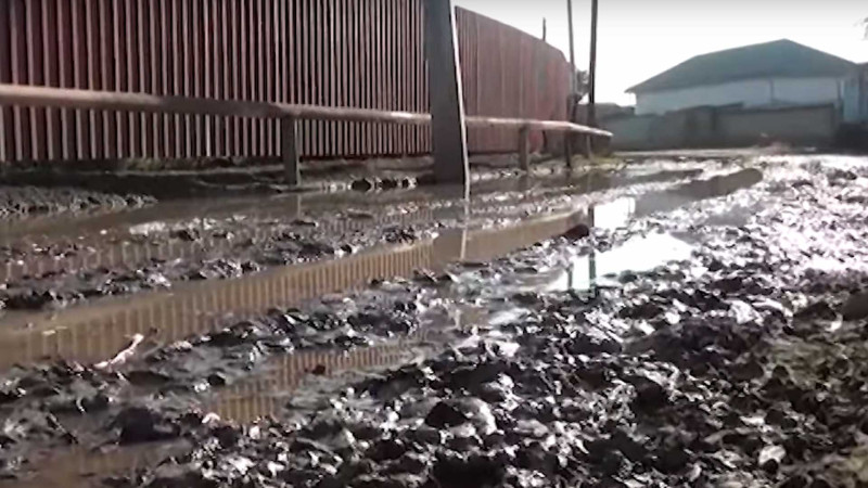 Masallı: 2000-dən çox sakinin istifadə etdiyi yol yararsız haldadır