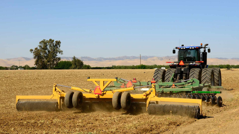 Astarada 850 hektarda şum qaldırılıb