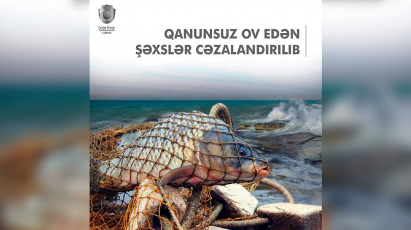 Astarada balıq ovlayan şəxslər cəzalandırılıblar