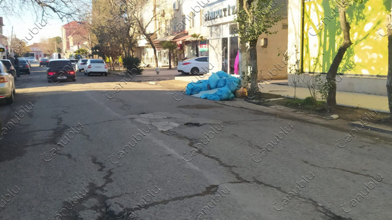 Qala Xiyabani küçəsində zibil qutularının olmamasının fəsadları