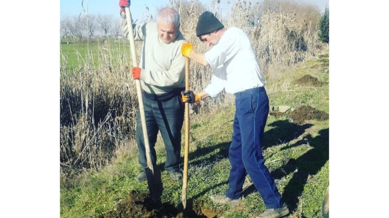 Masallıda yaşıllaşdırma işləri davam etdirilir