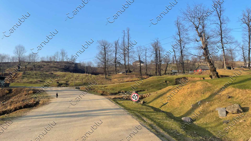 Bapbalaca boyu var, dam dolusu toyu var: Astarada sürücülərə problem yaradan cırtdan nişan