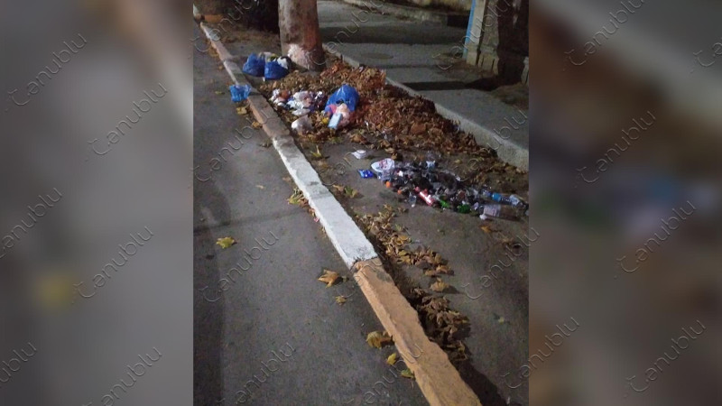 Masallı: şəhərin mərkəzi küçəsində zibillik “göz oxşayır”