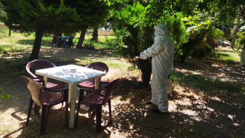 Masallıda dezinfeksiya işləri aparılıb