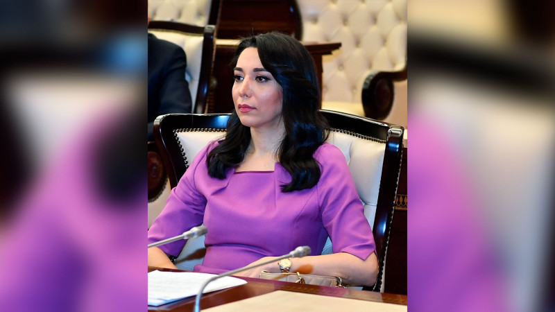 Lənkəran: Ombudsman döyülən məktəbli ilə görüşüb