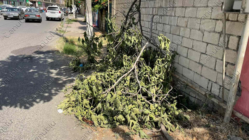 Nizami küçəsində tullantılar yığışdırılmayıb