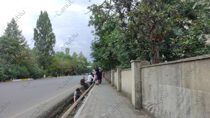 Lənkəran: bu küçədə təmizlik işləri aparılır