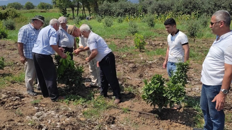 Xolmili kəndinin fermerləri suvarma təlimində iştirak ediblər