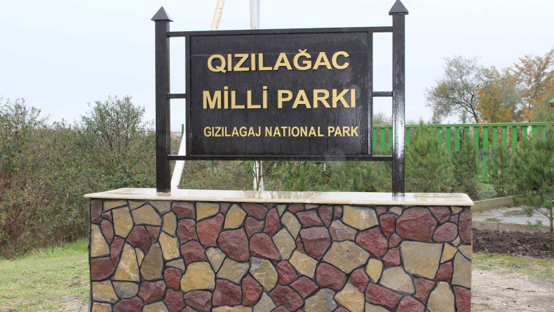 Qızılağac Milli Parkında qanunsuz ov ilə məşğul olan şəxs saxlanılıb