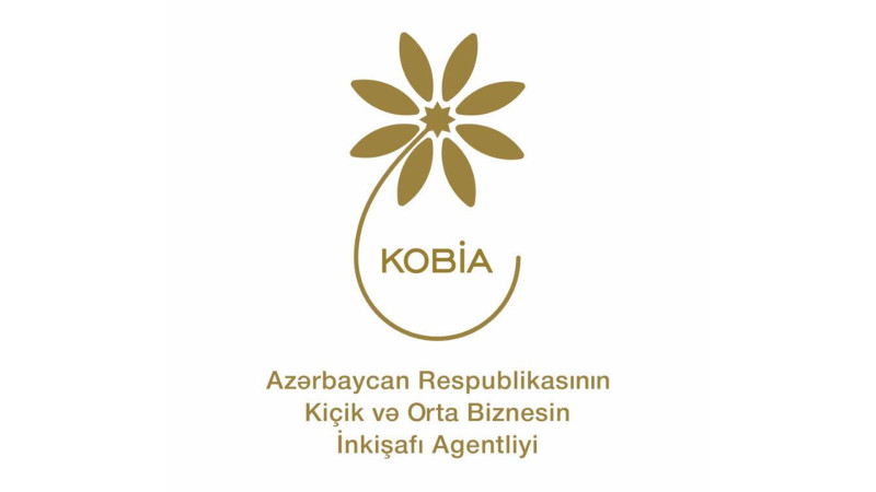 Masallıda sahibkarlığın inkişafı üçün təlim keçiriləcək
