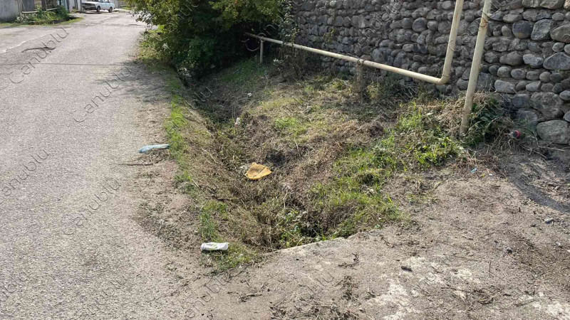 Lənkəranda xəndəklər kol-kosla dolub