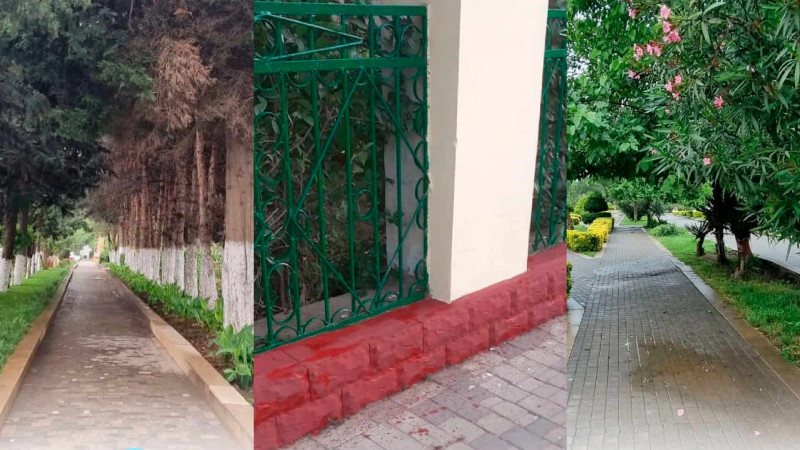 Cəlilabad: rayon ərazisində abadlıq işləri görülüb