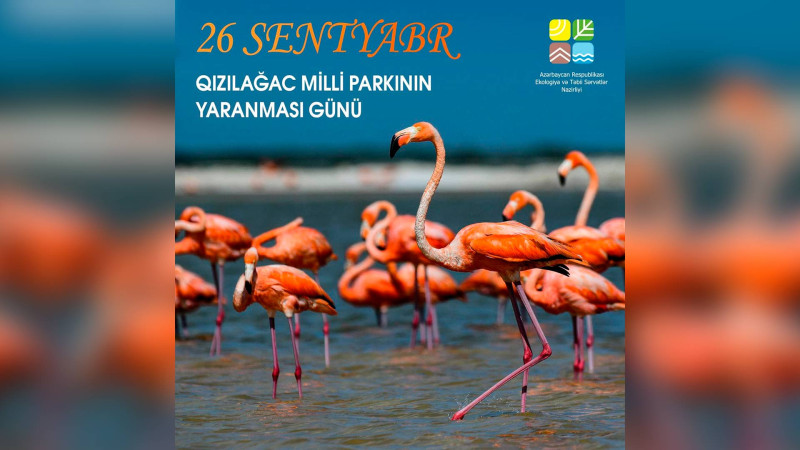 26 sentyabr – Qızılağac Milli Parkının yaranma günüdür