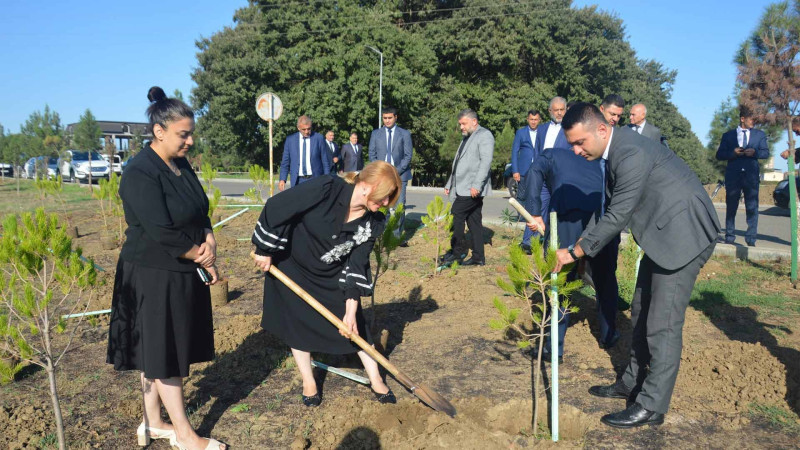 Masallıda şəhidlərin xatirəsinə ağaclar əkilib