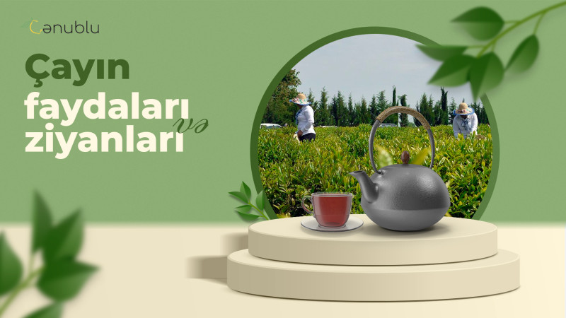 Süfrəmizin əvəzolunmazı olan çayın faydaları və ziyanları