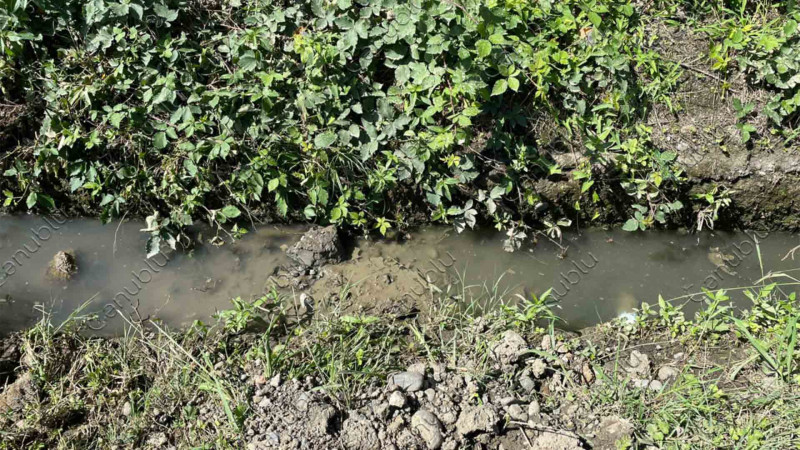 Lənkəran: təmir üçün qazılan yol bərpa olunub