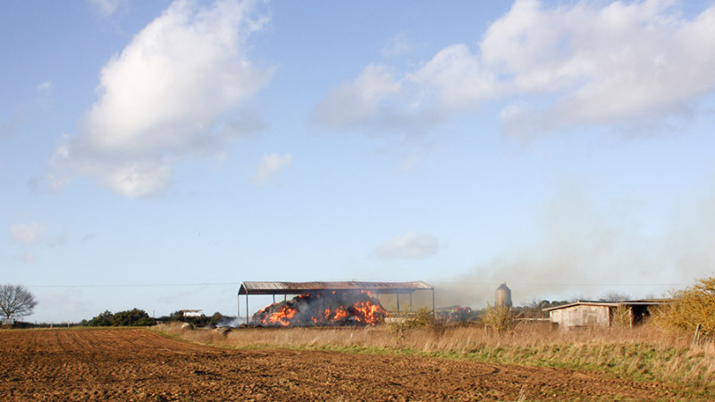 Masallı: Yeni Zuvand kəndində tövlə yanıb