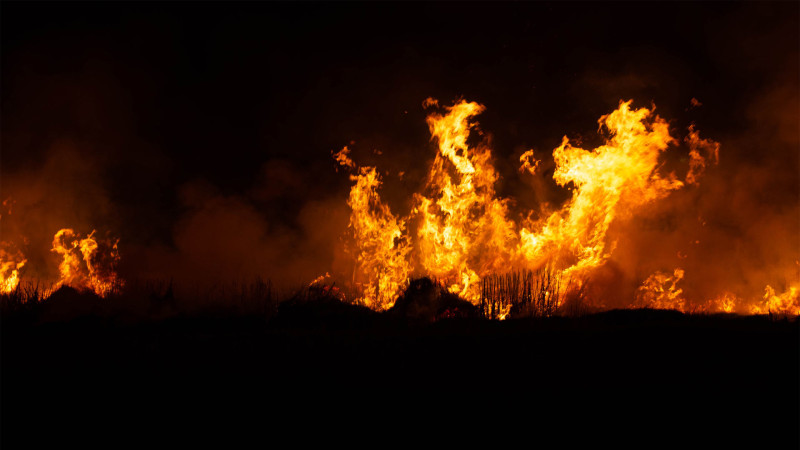 Lənkəran sakininin yarım tona yaxın ot bağlaması yanıb