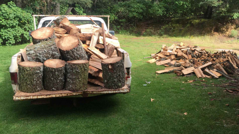 Cənub zonasında oduncaq tədarükü davam edir