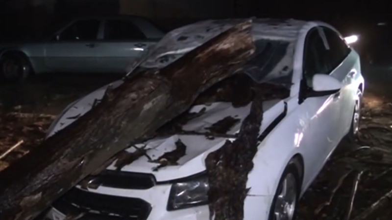 Lənkəran: güclü külək avtomobilə və yaşayış evinə ziyan vurub