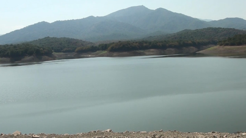 Masallıda əkin sahələri suvarılıb