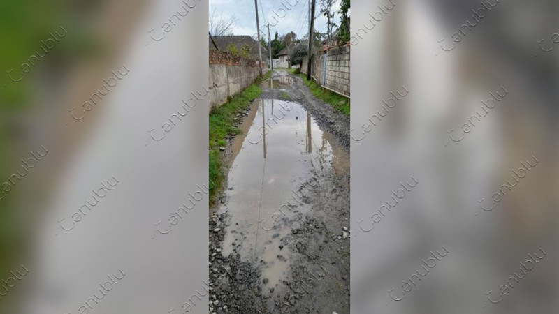 Lənkəran: Sütəmurdov kəndinin yolları keçilməz vəziyyətdədir