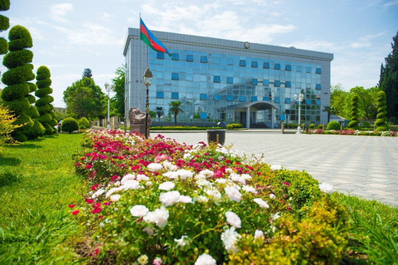 Lənkəran ŞİH: “Sahibsiz itlərlə bağlı problemin tez bir zamanda həll edilməsi imkan xaricindədir”