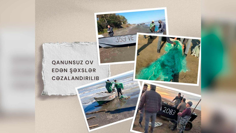 Qanunsuz ovla məşğul olan brakonyerlər saxlanılıb