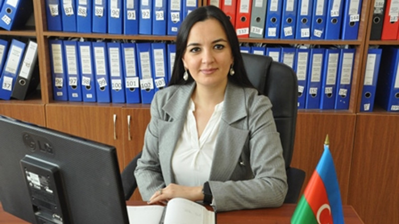 Lənkəran: Sosial və Aqrar-Texnoloji Kollecə direktor təyin olunub