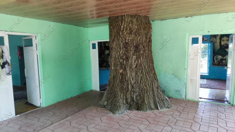 Lənkəranda “seyid ziyarətgahı”: Seydəpir ocağı