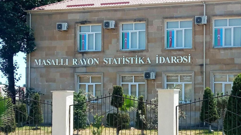 Masallıda məhsul yığımı davam edir