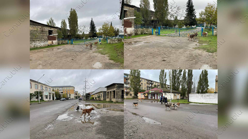 Lənkəran sakinləri hər gün təhlükə ilə üz-üzədirlər