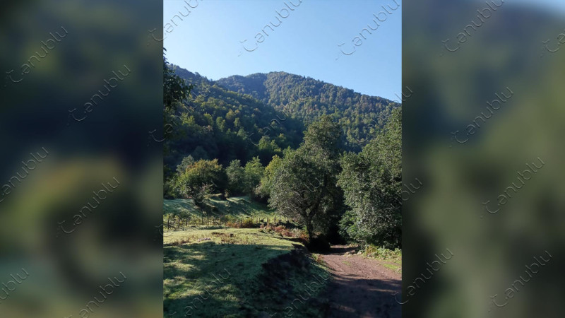 “Astaranın Qobustanı”: Ute məhəlləsi