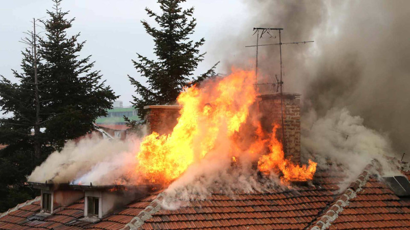 Masallı: Güllütəpə kəndində tövlə yanıb