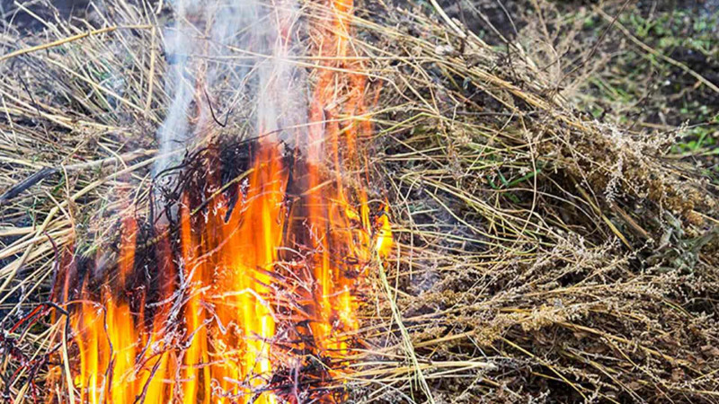 Masallı: Birinci Yeddioymaq kəndində yanğın baş verib