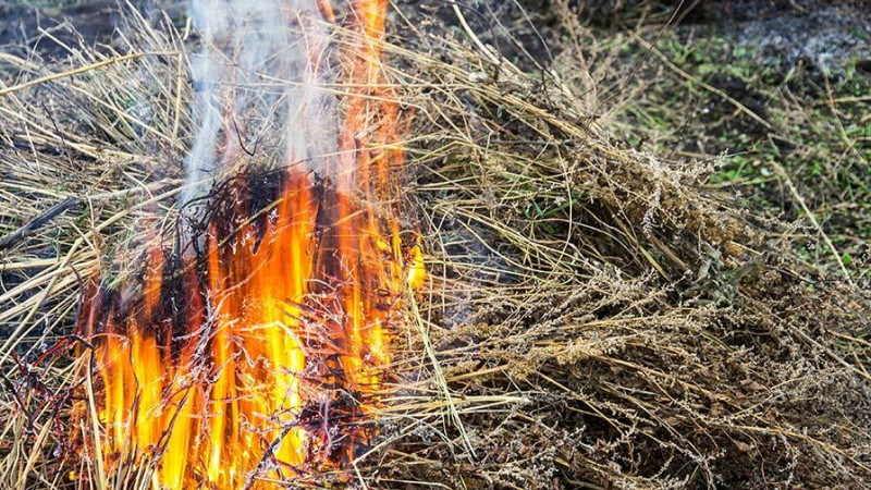 Cəlilabad: fermada yanğın baş verib